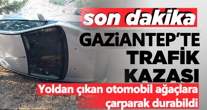 Yoldan çıkan otomobil ağaçlara çarparak durabildi