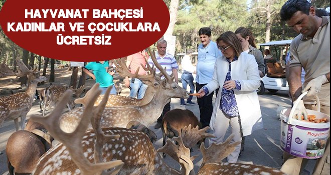  Kadınlar Günü'nde Hayvanat Bahçesi ücretsiz olacak