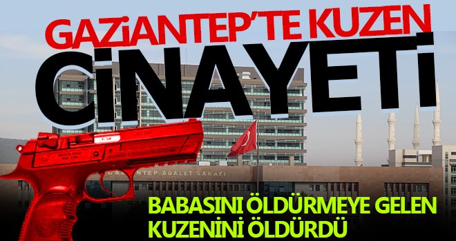  Kuzen cinayeti davasında müebbet kararı 14 yıl 2 ay hapse çevrildi