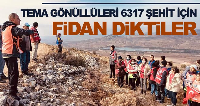 100. yılda 637 fidan toprakla buluştu...