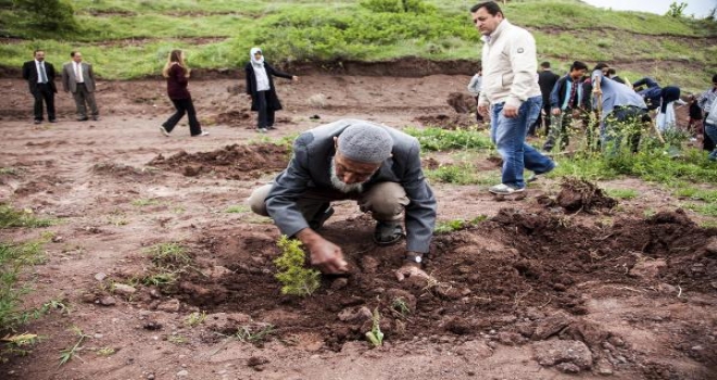 Ahlatlı Sofu Dayı 10 Bin Fidan Dikti