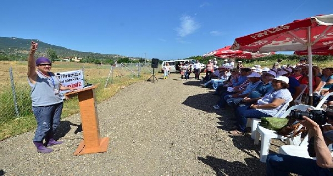 Foçada Yırca Zeytin Bahçesi Oluşturuldu