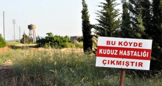 Adıyamanda Kuduz Hastalığı Karantinası