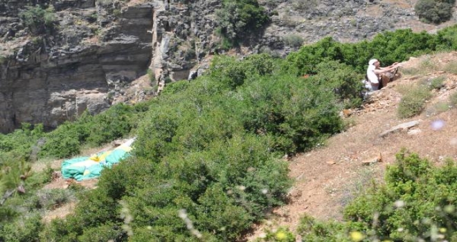 Ters Rüzgara Kapılan Yamaç Paraşütü Dolanıp Dağa Çakıldı: 2 Yaralı