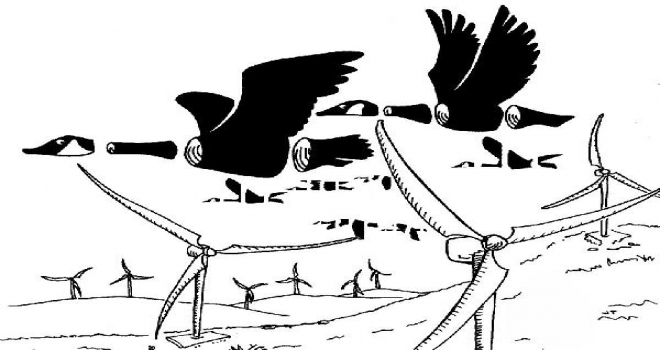 Bodrumda Resler Masaya Yatırıldı