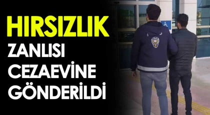 Nizip'te hırsızlık şüphesi cezaevine gönderildi 