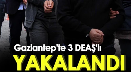 Gaziantep'te 3 DEAŞ'lı yakalandı