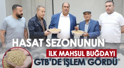 Hasat sezonunun ilk mahsul buğdayı GTB'de işlem gördü