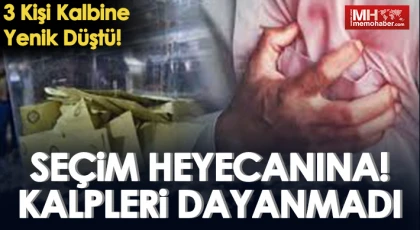 Seçim Heyecanına Dayanamadılar!