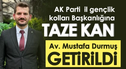 AK Parti il gençlik kolları Başkanlığına taze kan