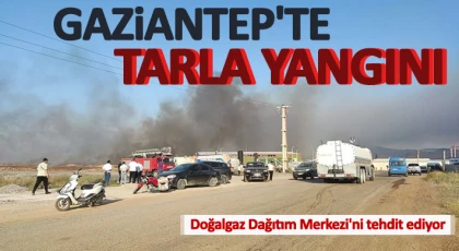 Gaziantep'te tarla yangını Doğalgaz Dağıtım Merkezi'ni tehdit ediyor