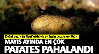 Mayıs ayında en çok patates pahalandı