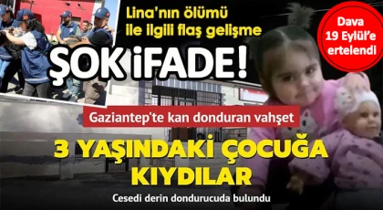 Türkiye’nin konuştuğu 3 yaşındaki Lina Nazlı'nın ölümüyle ilgili dava başladı