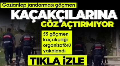 Gaziantep jandarması göçmen kaçakçılarına göz açtırmıyor