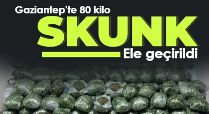  Gaziantep'te 80 kilo skunk ele geçirildi