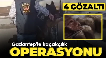 Gaziantep'te kaçakçılık operasyonu: 4 gözaltı