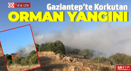 Gaziantep’te Korkutan Orman Yangını