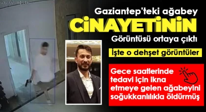 Yeniden hayat vermeye ve tedavi için ikna etmeye çalıştığı kardeşi sonu oldu