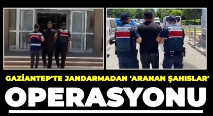 Gaziantep'te jandarmadan 'aranan şahıslar' operasyonu