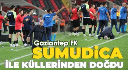 Gaziantep FK, üst üste 2 galibiyetle demir attığı ligin dibinden kurtuldu