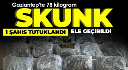  Gaziantep'te 78 kilogram skunk ele geçirildi: 1 şahıs tutuklandı