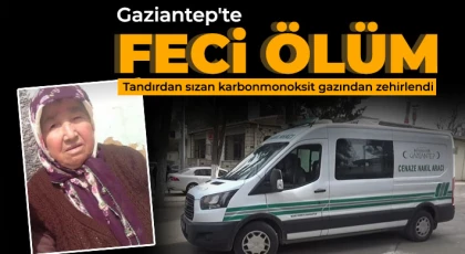 Tandırdan sızan karbonmonoksit gazından zehirlendi