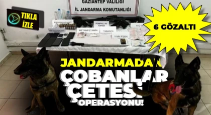 Jandarma Suç Çetelerine Göz Açtırmıyor