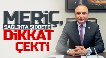 Meriç, sağlıkta şiddetin boyutu büyüyor