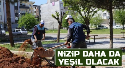 Nizip daha da yeşil olacak