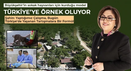 Büyükşehir’in sokak hayvanları için kurduğu model Türkiye’ye örnek oluyor