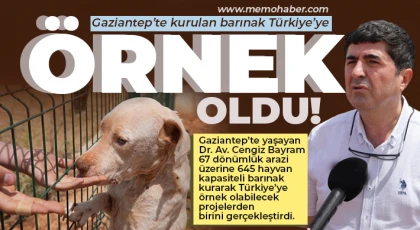 Gaziantep’te Türkiye’ye örnek olacak barınak projesi