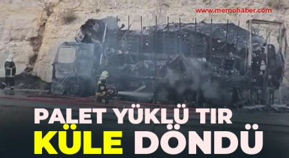 Palet yüklü tır küle döndü