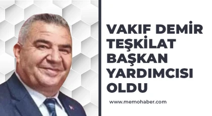 Vakıf Demir Teşkilat Başkan Yardımcısı oldu