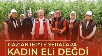 Gaziantep'te seralara kadın eli değdi