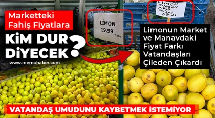 Limonun market ve manavdaki fiyat farkı vatandaşları çileden çıkardı