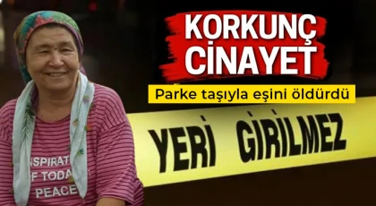 Parke taşıyla eşini öldürdü