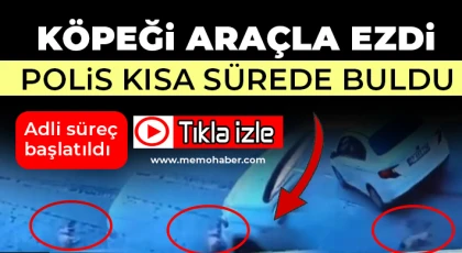 Köpeği araçla ezdi! Polis kısa sürede buldu