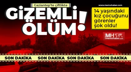 Gaziantep'te çiftlikte gizemli ölüm