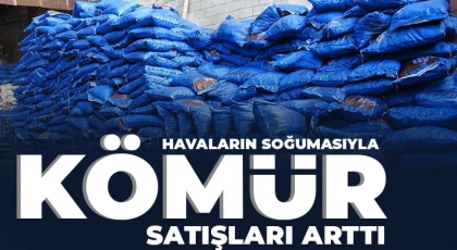 Havaların soğumasıyla kömür satışları arttı