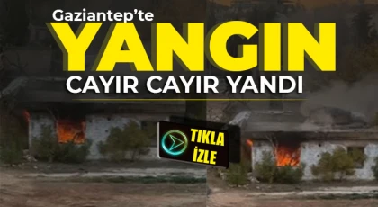 Mücahitler'de yangın! Cayır cayır yandı 