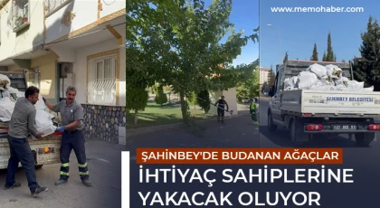 Şahinbey'de budanan ağaçlar ihtiyaç sahiplerine yakacak oluyor