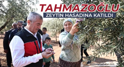 Tahmazoğlu zeytin hasadına katıldı