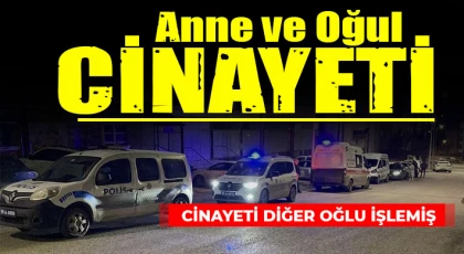 Anne ve oğlu evde ölü bulunmuştu: Cinayeti diğer oğlu işlemiş