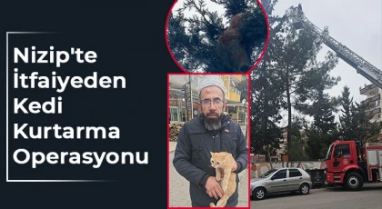 İtfaiyeden Kedi Kurtarma Operasyonu