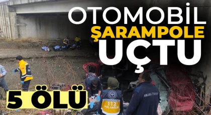 Otomobil şarampole uçtu: 5 ölü