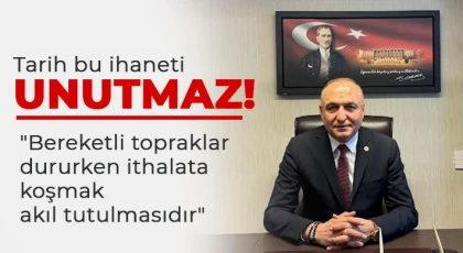 CHP'li Meriç: Tarih bu ihaneti unutmaz!