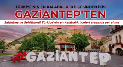 Gaziantep'in iki ilçesi neredeyse tek başına bir şehir!