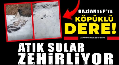 Gaziantep’te atık sular zehirliyor!