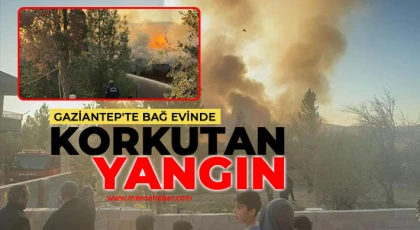 Gaziantep'te bağ evinde korkutan yangın