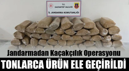 Jandarmadan kaçakçılık operasyonu